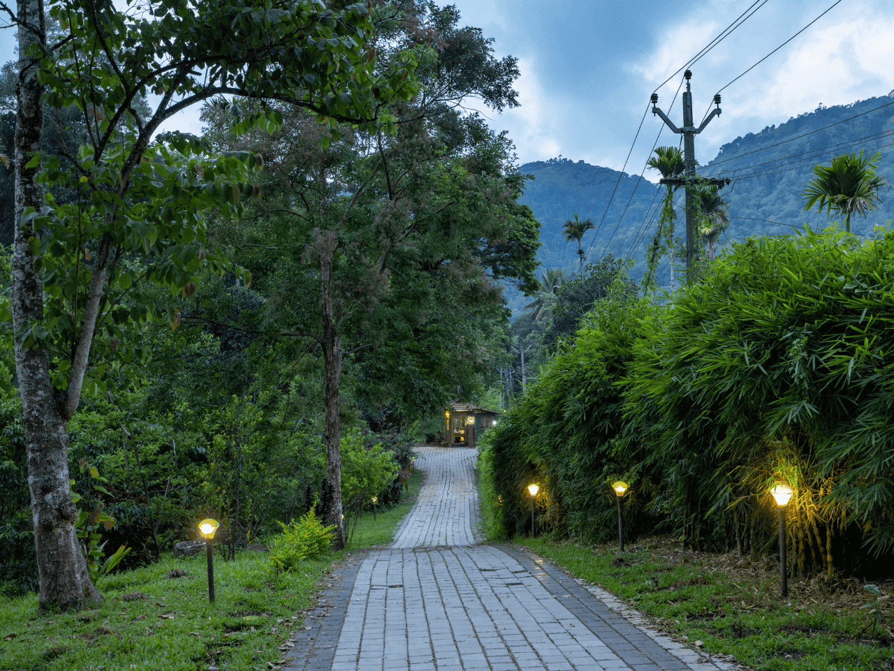 Coffee Routes Thekkady location